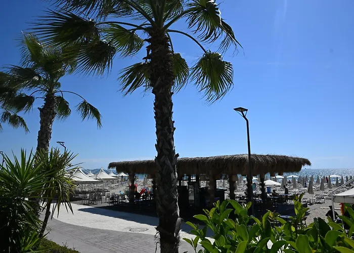 Luxury Premium Finese *